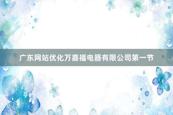广东网站优化万嘉福电器有限公司第一节